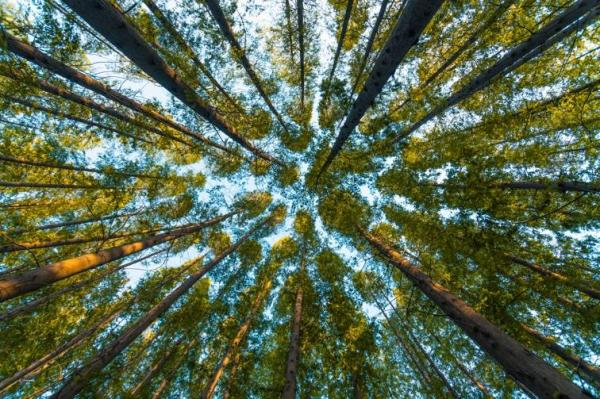 整套噴塑流水線設(shè)備廠:生意盎然的春正踏步而來！